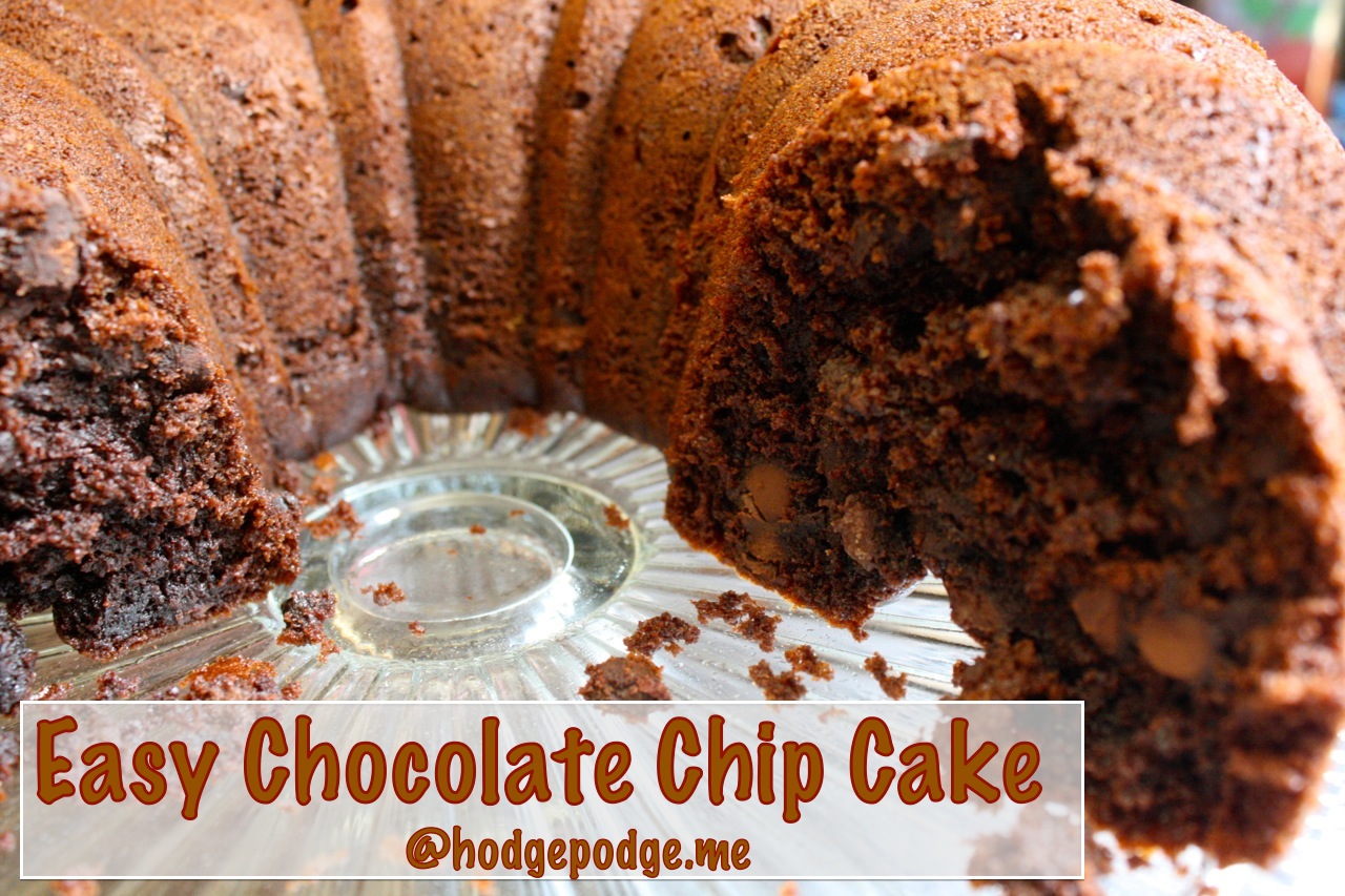 Easy Chocolate Chip Cake Recipe