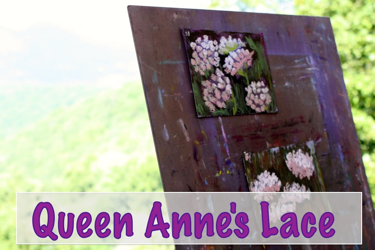 Queen Anne’s Lace: A Pastels Tutorial