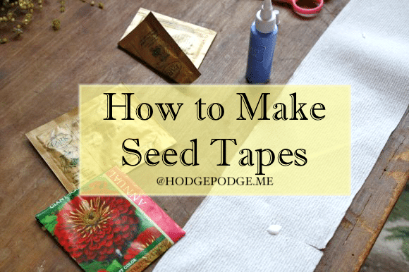 How to Make Seed Tapes For Your Homeschool Garden the Frugal Way