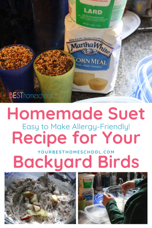 Enjoy a homemade suet recipe and see how our homeschool family studied and learned about which type of food attracts a variety of backyard birds!