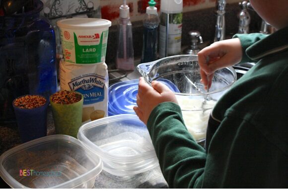 Enjoy a homemade suet recipe and see how our homeschool family studied which type of food attracts a variety of backyard birds!