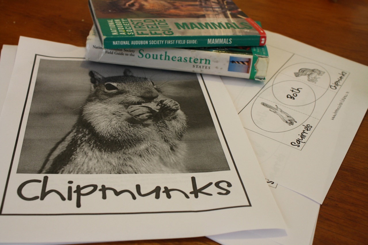 Chipmunks and Squirrels Homeschool Nature Study