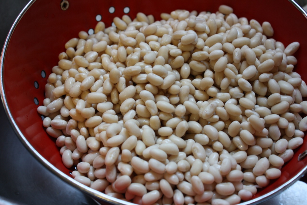 Slow Cooker Batch Cooking Navy Beans at $5 Dinners