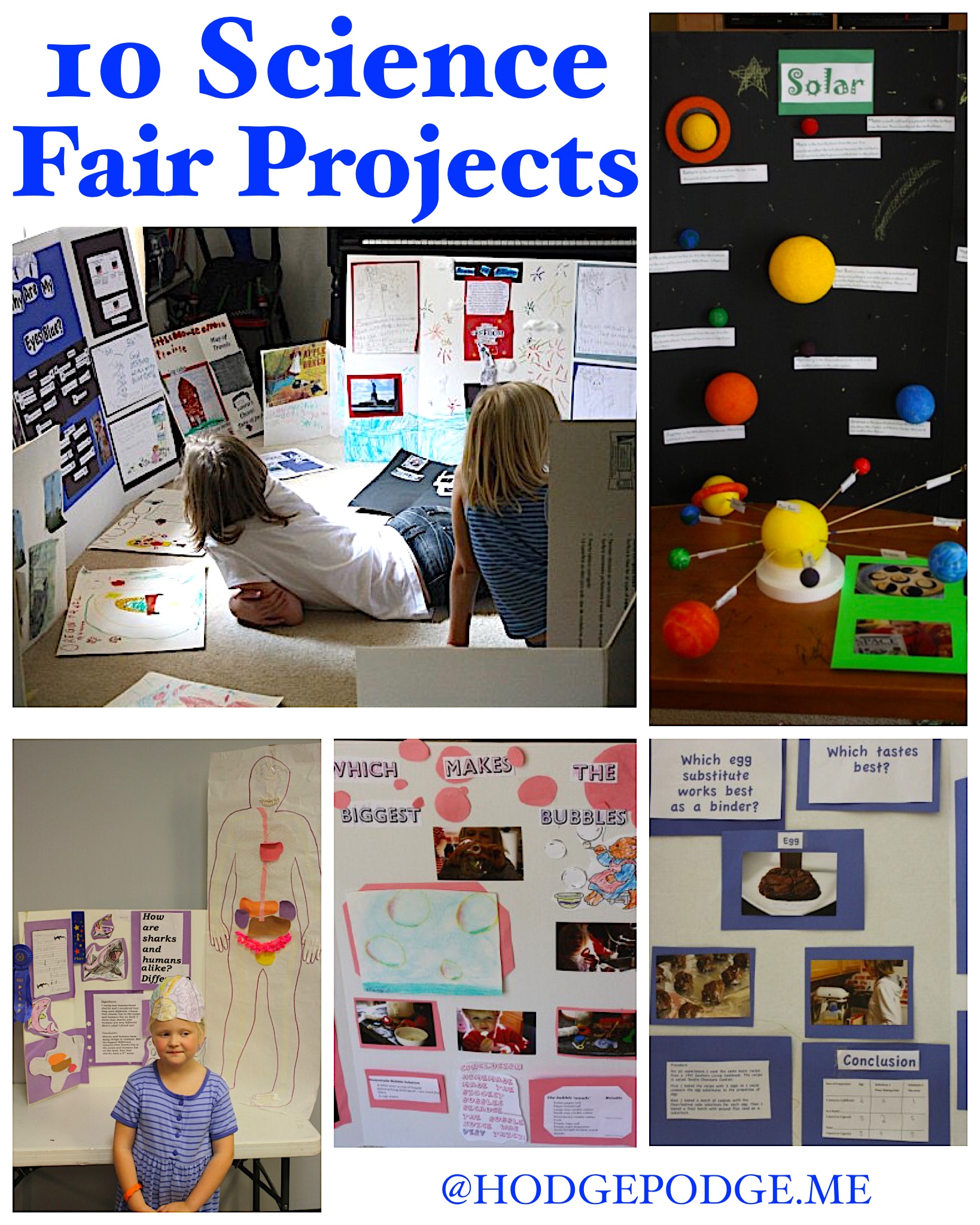 10 Science Fair Project Ideas