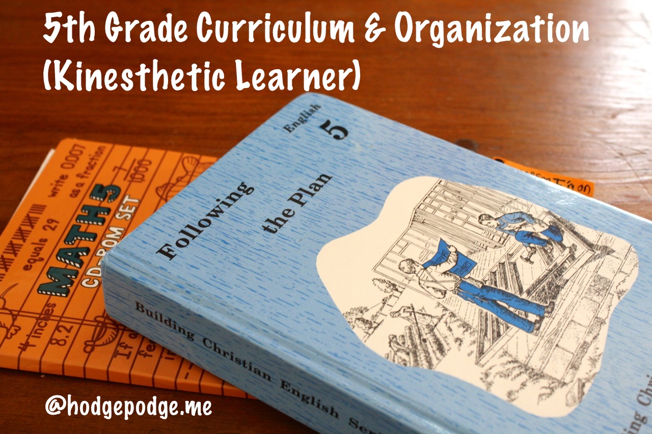 Fifth Grade Kinesthetic Learner: Curriculum and Organization