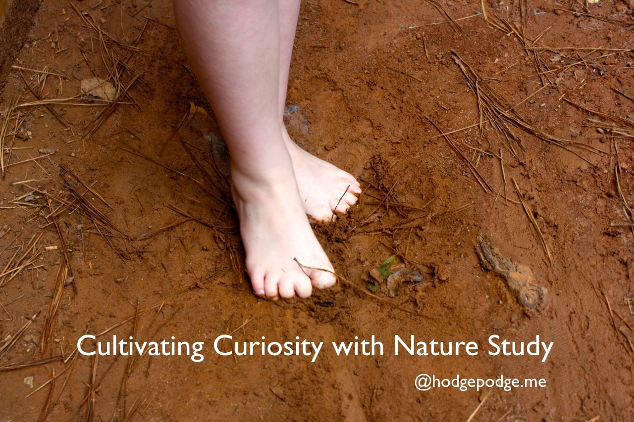Cultivating Curiosity with Nature Study in Your Homeschool