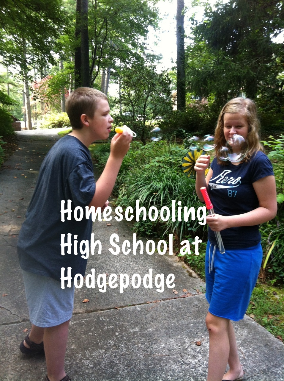 Homeschooling High School at Hodgepodge