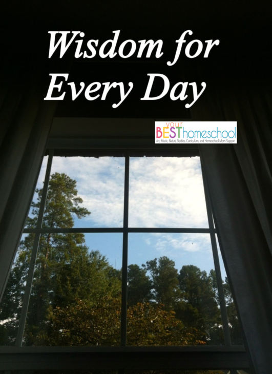 Here is how to find wisdom for every day in your homeschool. Sweet, simple and teachable moments and prayers. 