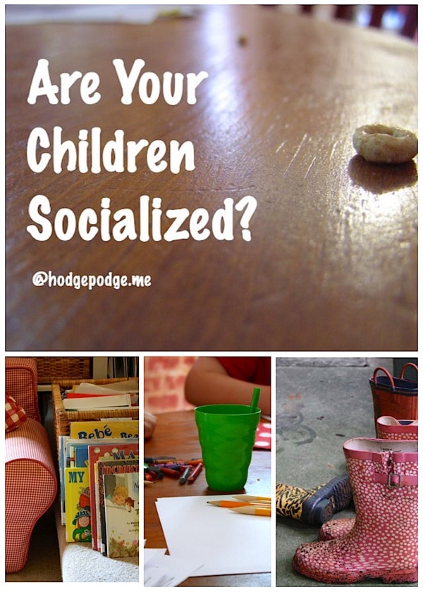 For the curious - a gentle answer for homeschool families. How to answer the common question, "Are your children socialized?"