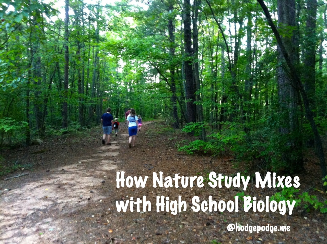How Summer Nature Study Complements High School Biology
