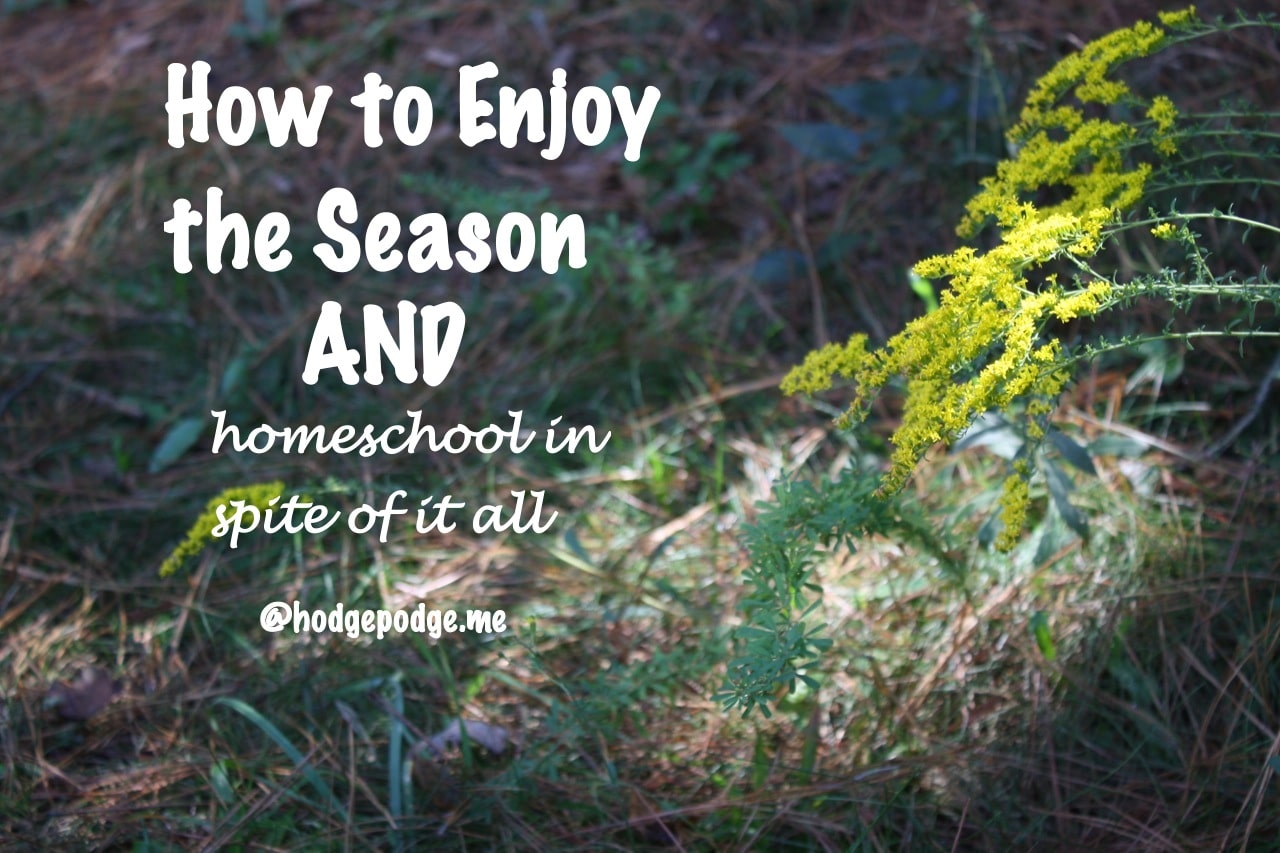 How to Enjoy the Season and Homeschool