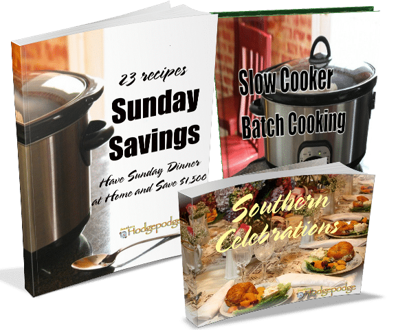 Bundle of Hodgepodge Cookbooks