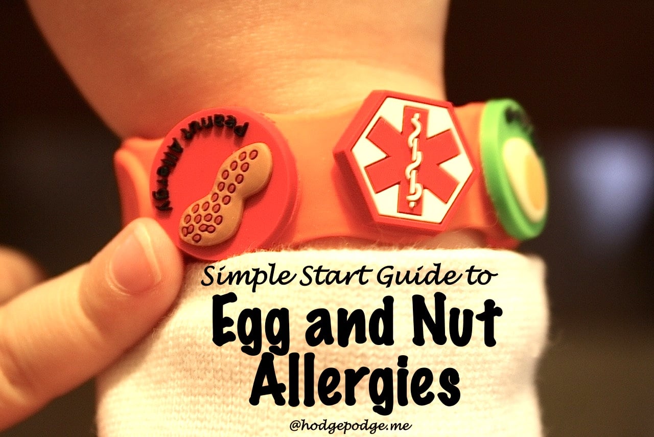 Guide to Getting Started with Egg and Nut Allergies