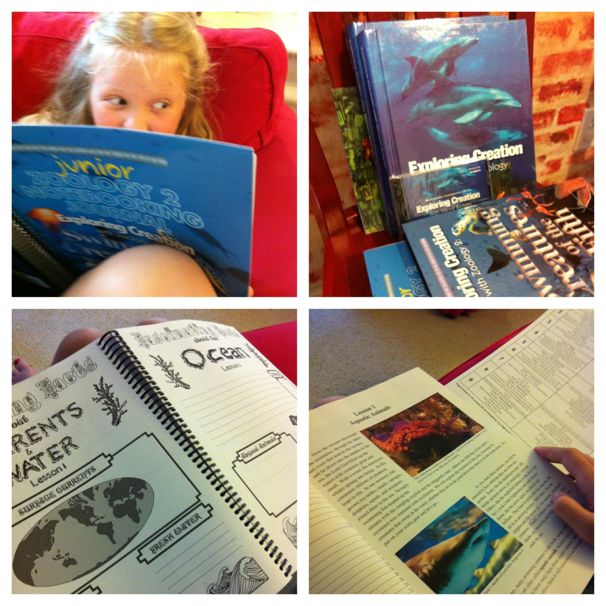 Homeschool Marine Biology for Multiple Ages - Your BEST Homeschool