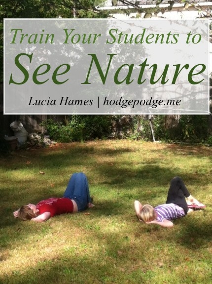 Train Your Students to See Nature