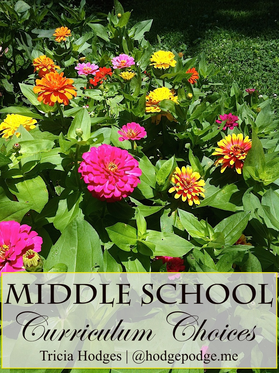 Middle School Homeschool Curriculum Choices