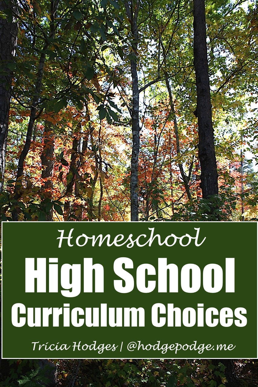 High School Homeschool Curriculum Choices