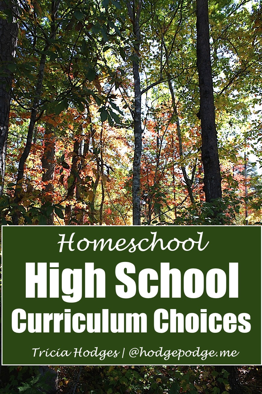 Best High School Homeschool Curriculum