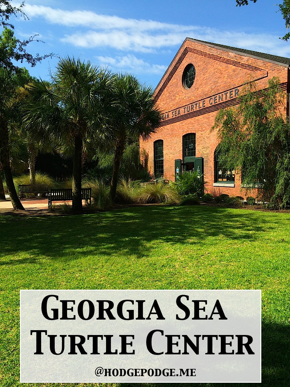 Georgia Sea Turtle Center – and More About Jekyll Island Georgia