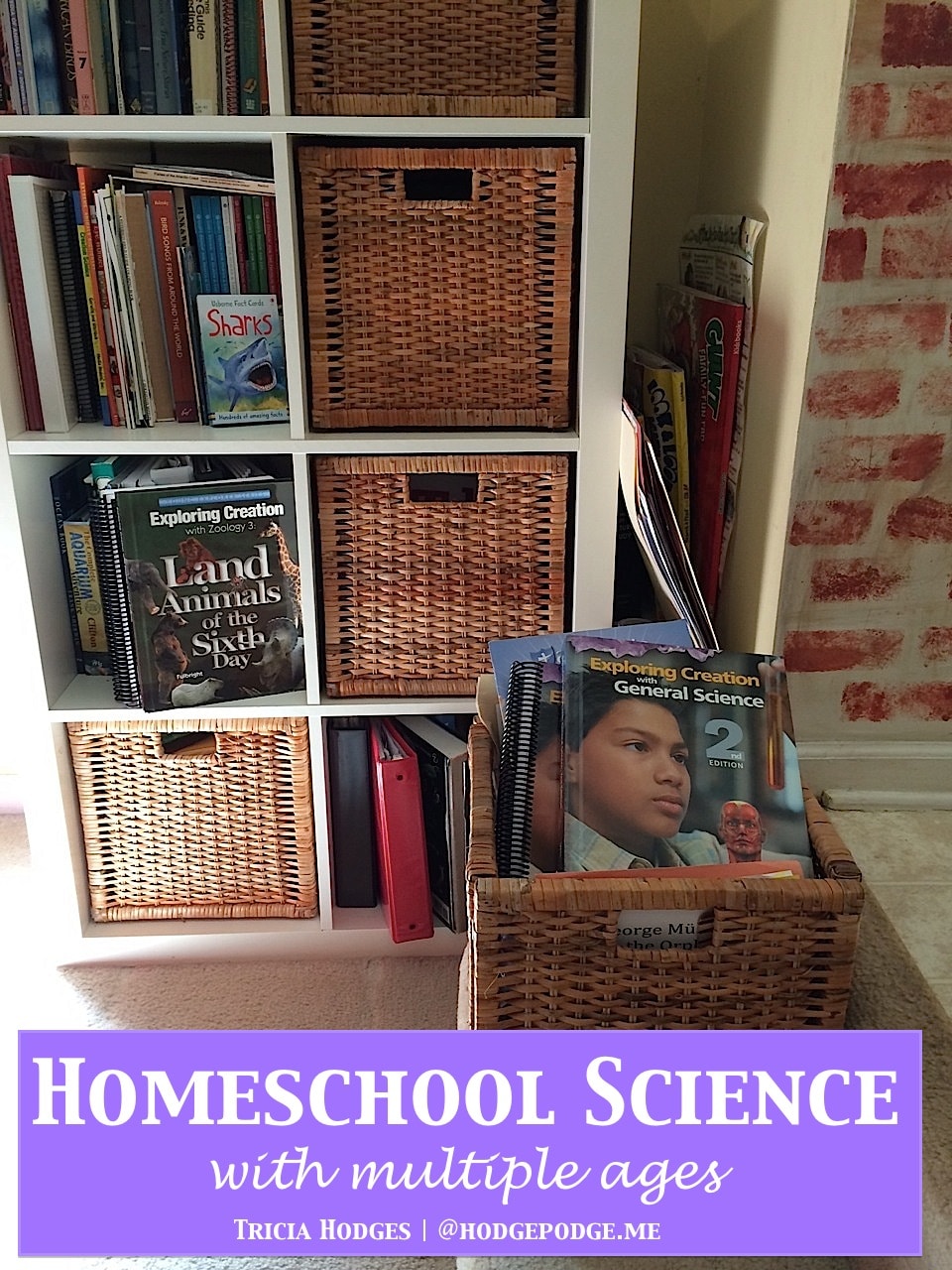 Homeschool Science for Multiple Ages
