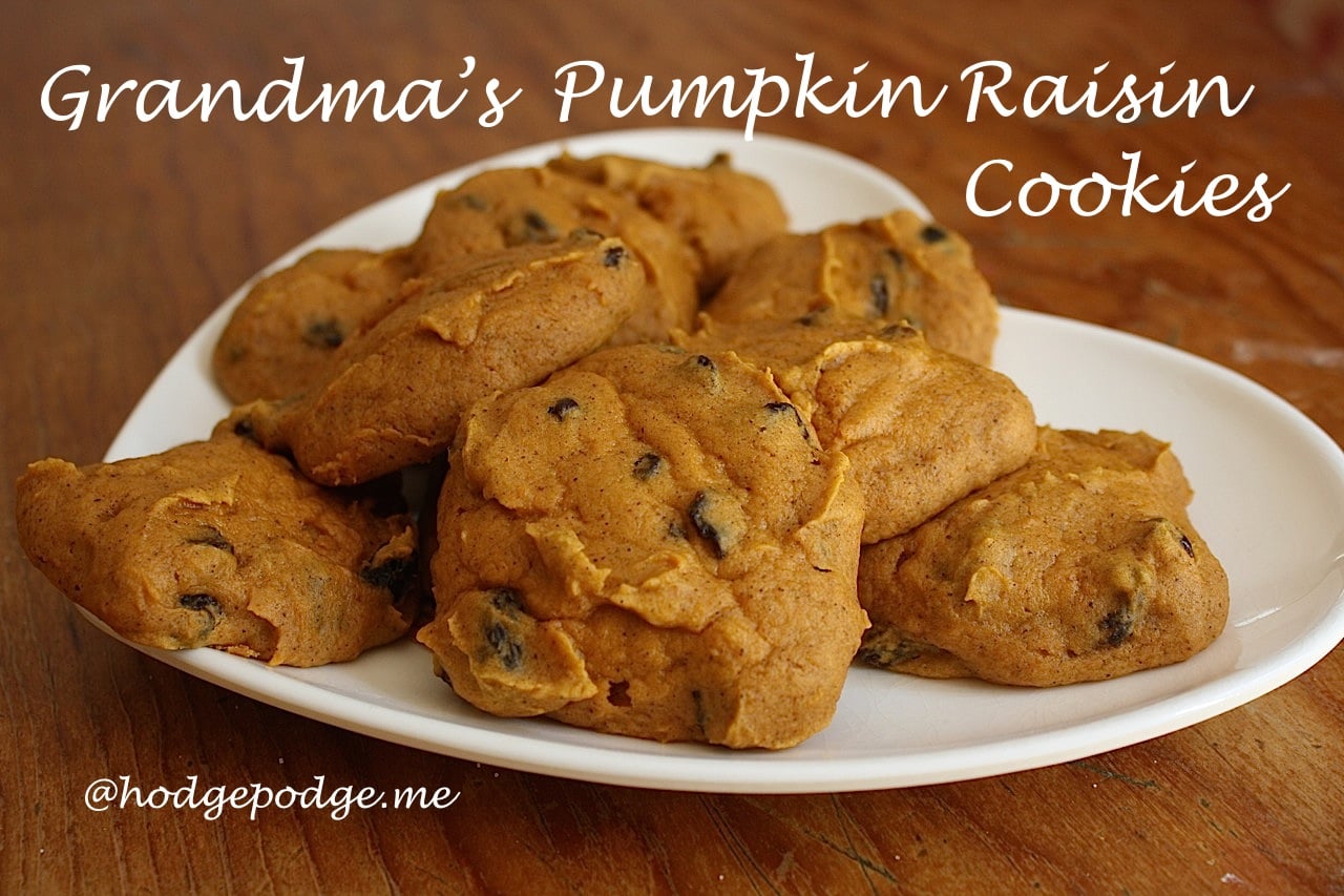 Grandma’s Pumpkin Raisin Cookies Recipe