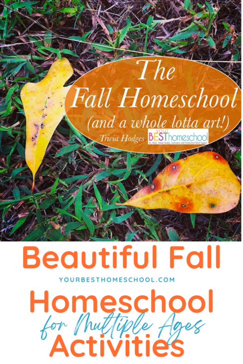 These beautiful fall homeschool activities provide a real life look at autumn in our homeschool. Includes art, reading, writing, and more!