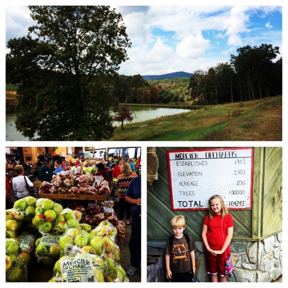 Mercier Apple Orchard