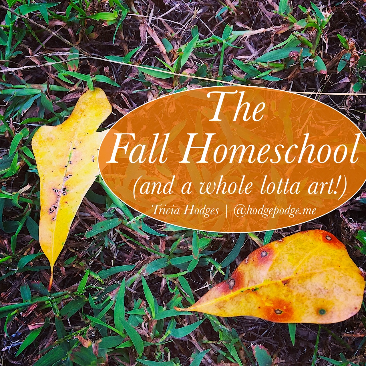 The Fall Homeschool (and a Lot of Art Too!)