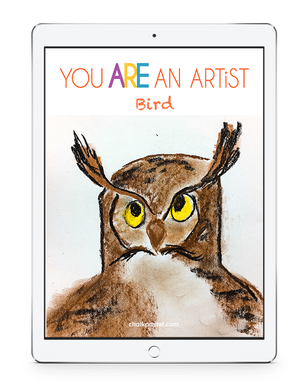Bird videos art lessons for homeschool
