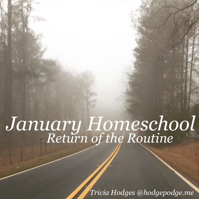 What a January Homeschool Routine Looks Like For Multiple Ages