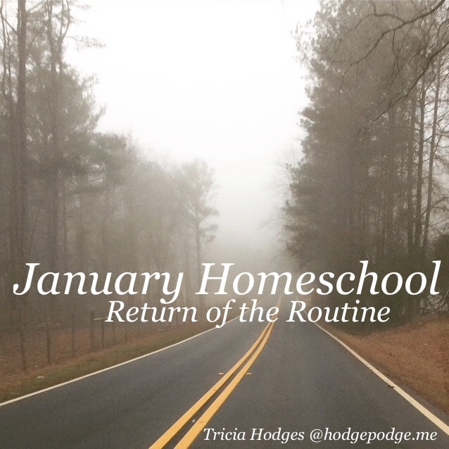 New Year Clean Slate for Day to Day Homeschooling - Your BEST