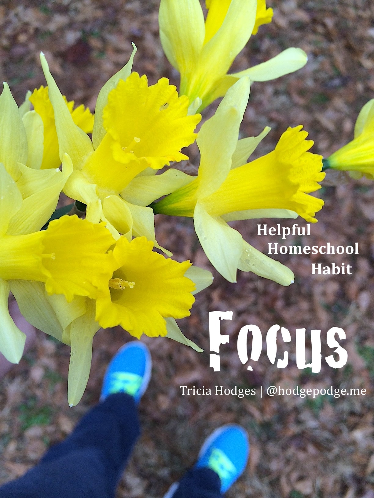 Helpful Homeschool Habit: Focus