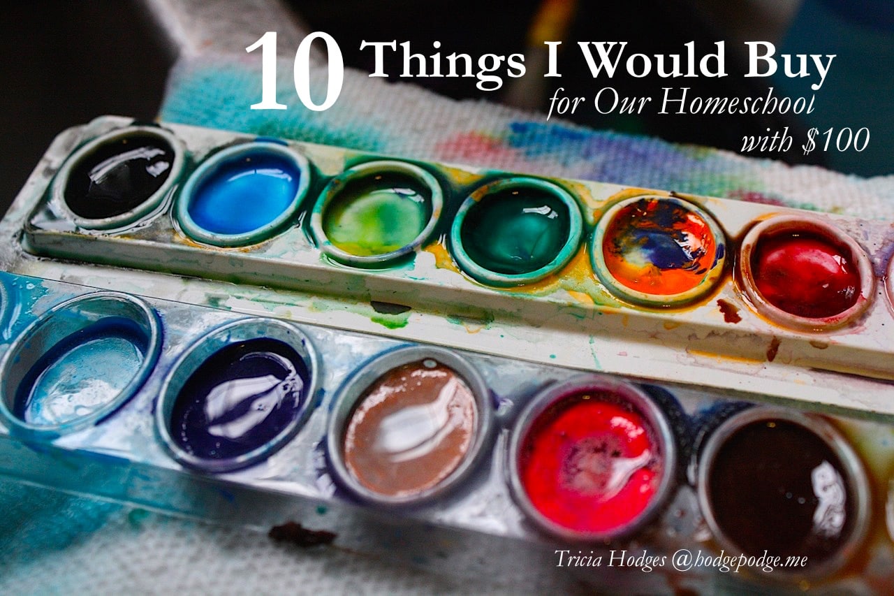 10 Things I Would Buy For Our Homeschool With $100