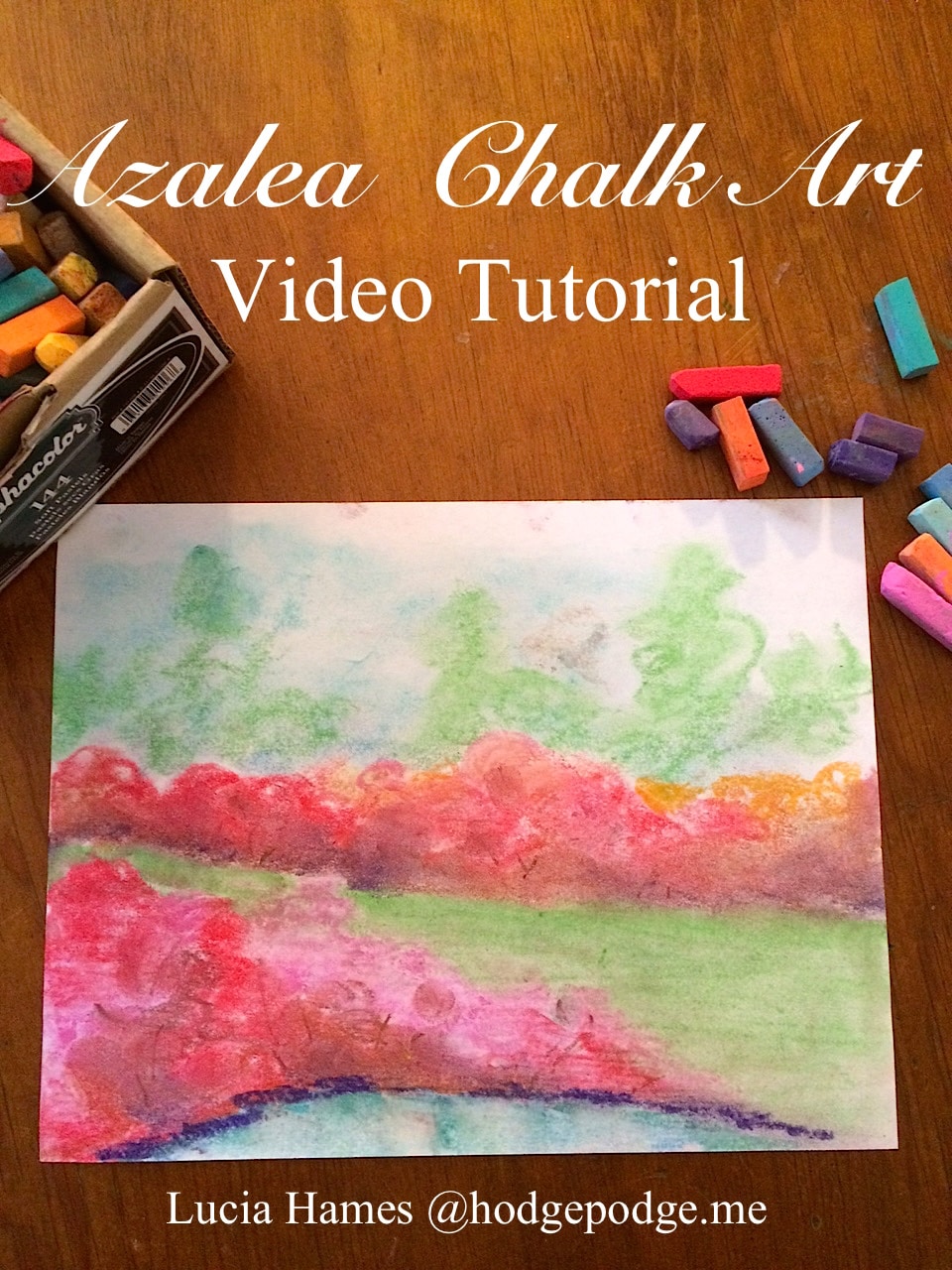 In honor of the Masters Golf tournament and all the blooming azaleas there in Augusta, Georgia (and beautiful azaleas in our own backyard), Nana offers you an Azalea Video Chalk Art Tutorial!