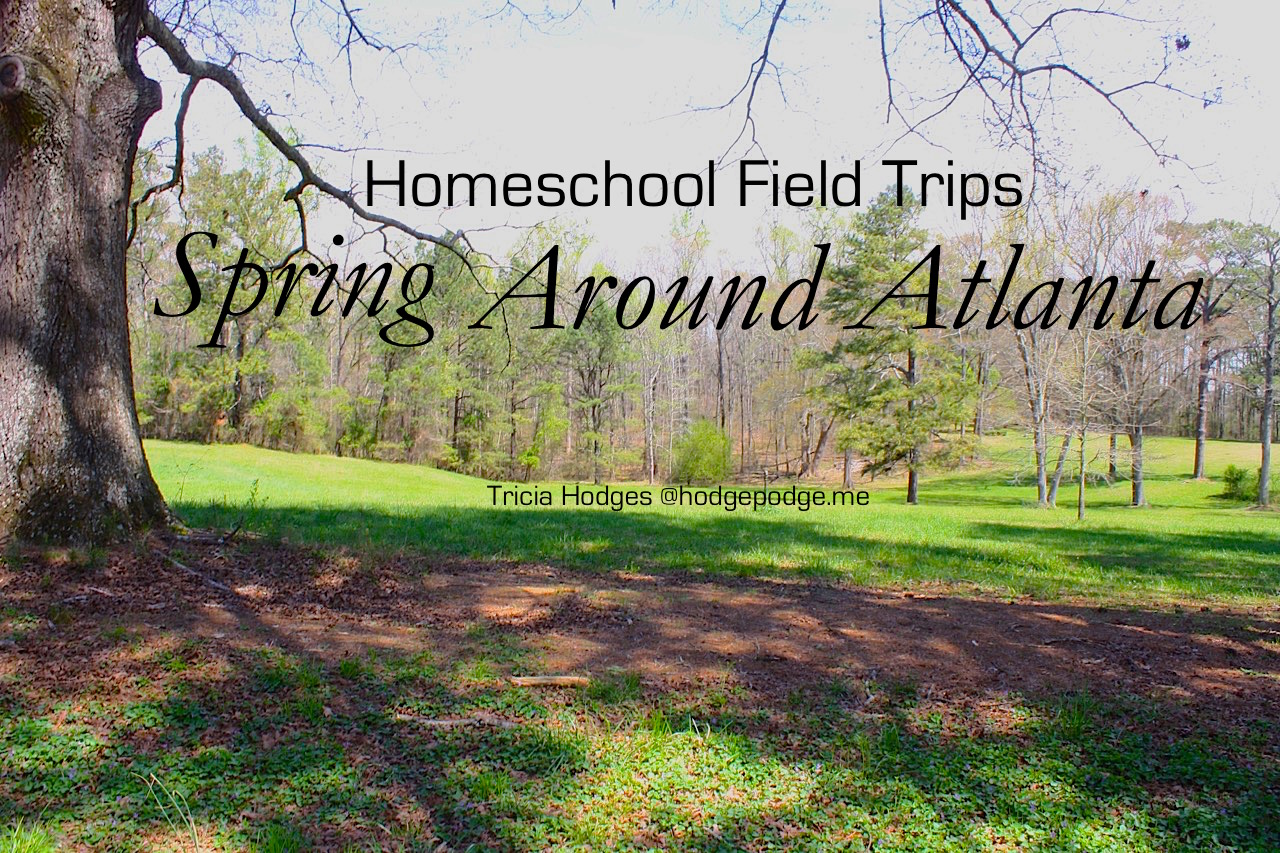 Spring Homeschool Field Trips Around Atlanta