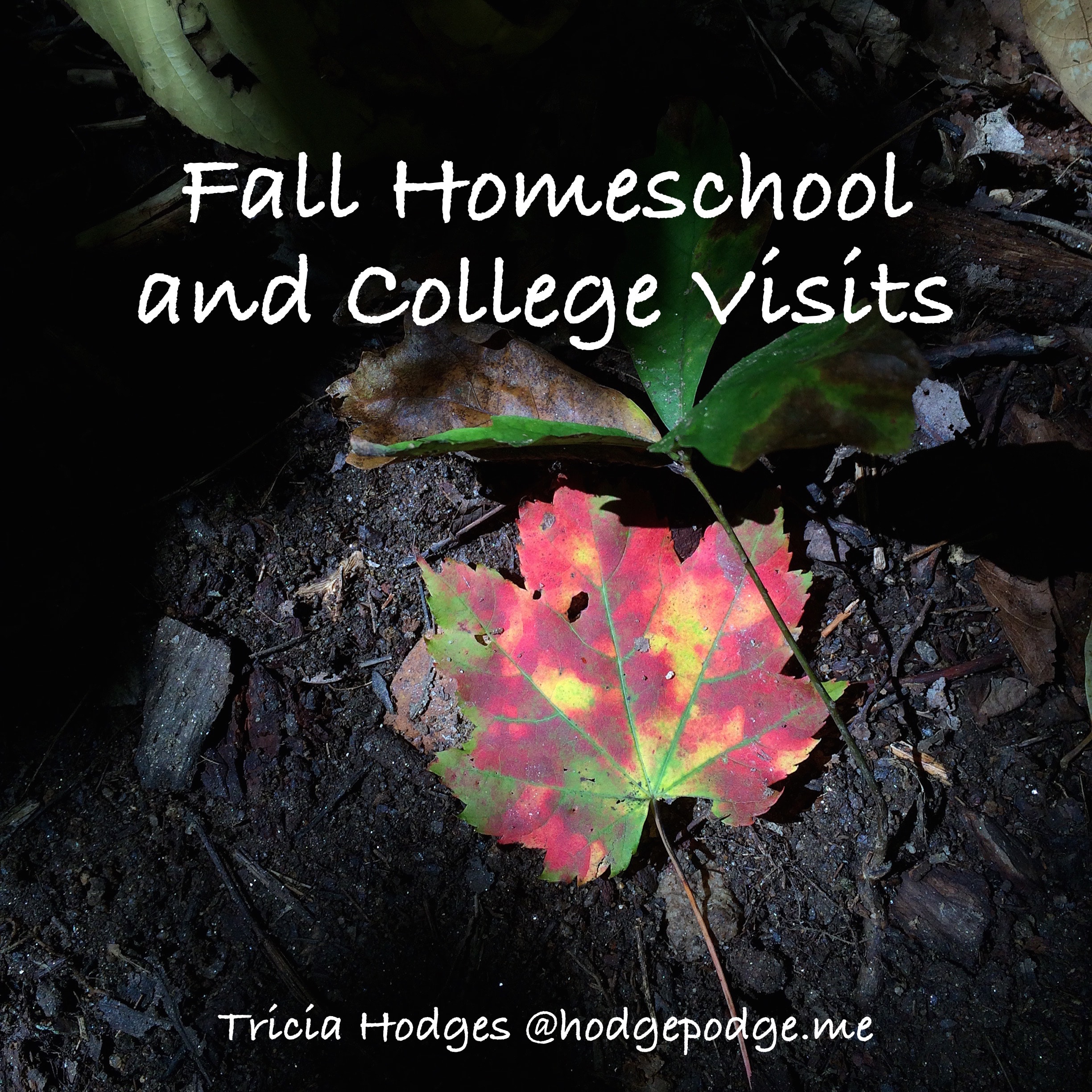 Fall Homeschool and College Visits