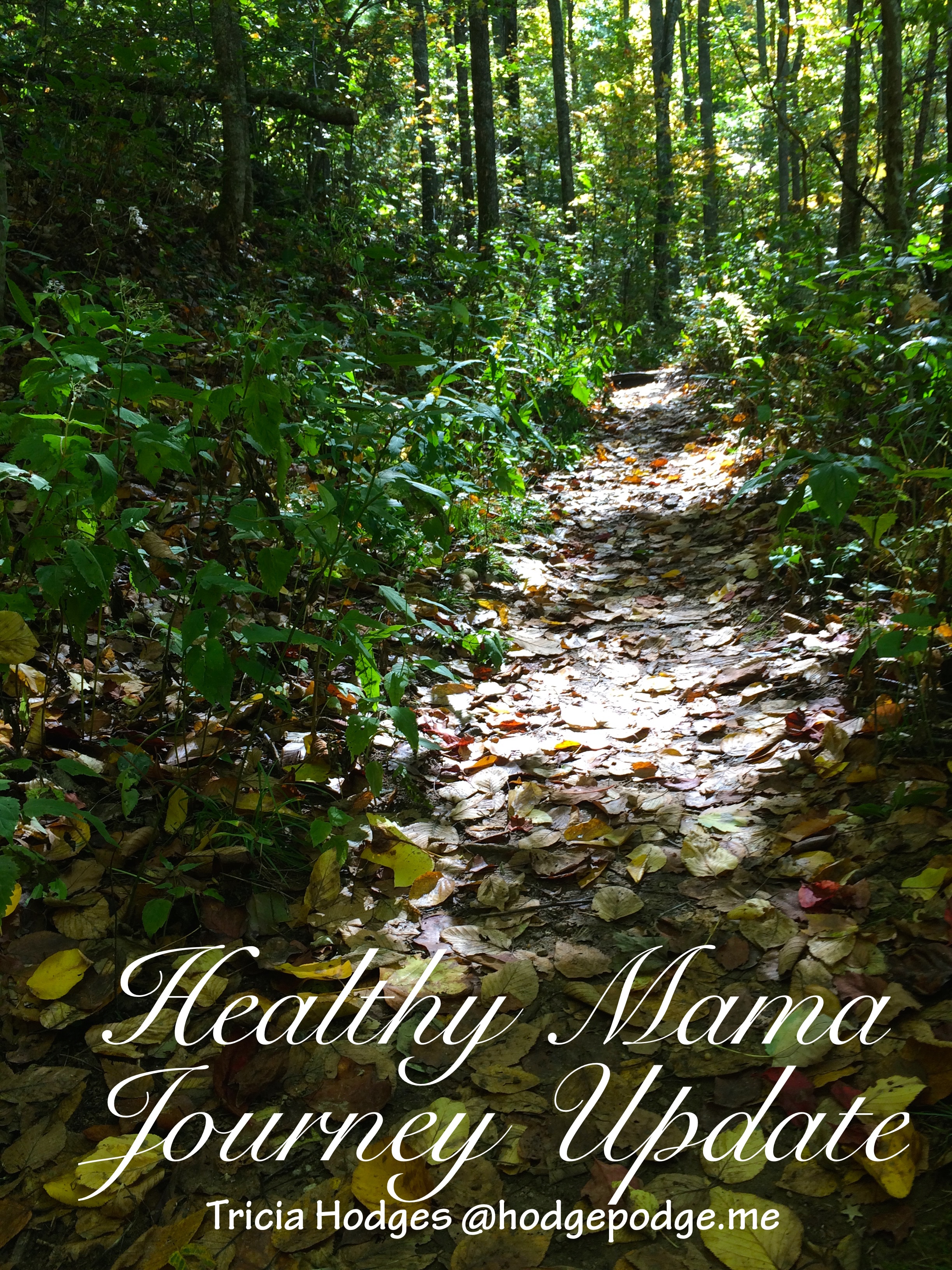 Healthy Mama Journey Update