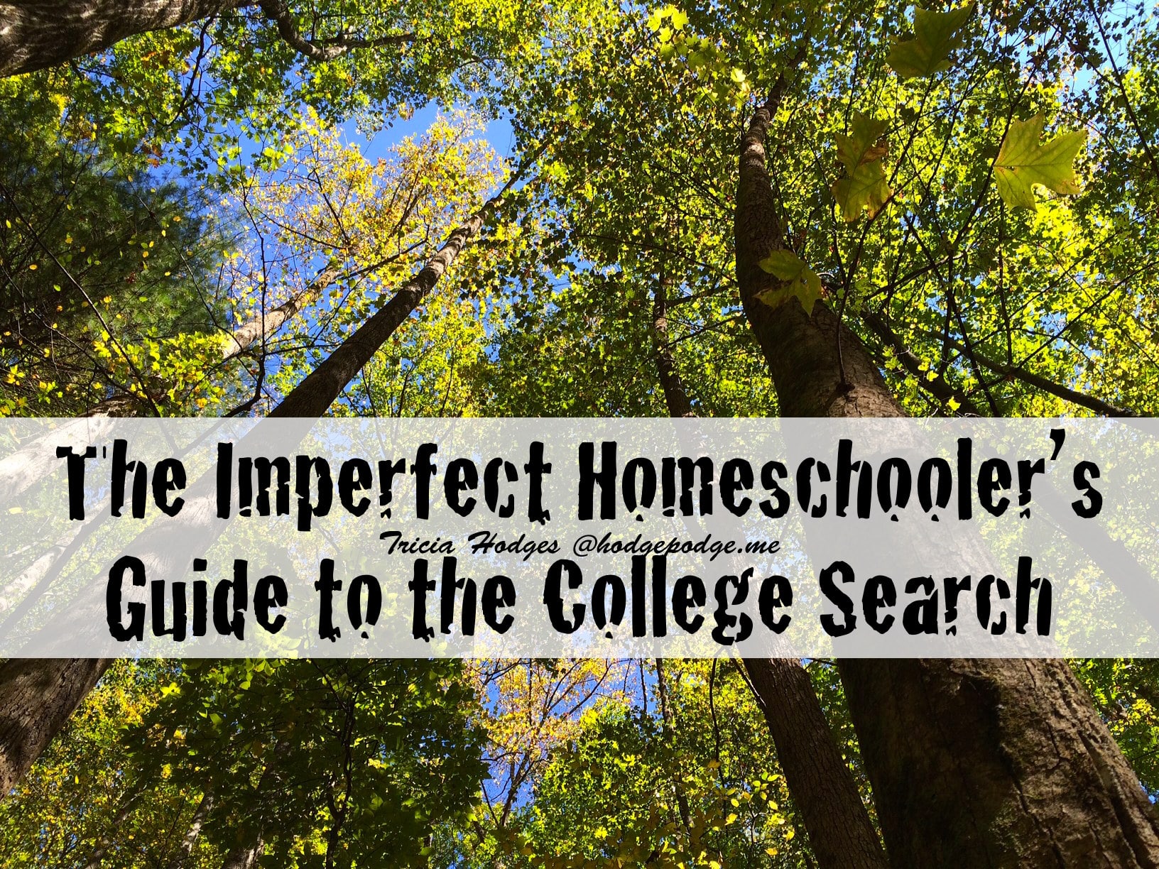 The Imperfect Homeschooler’s Simple Guide to the College Search