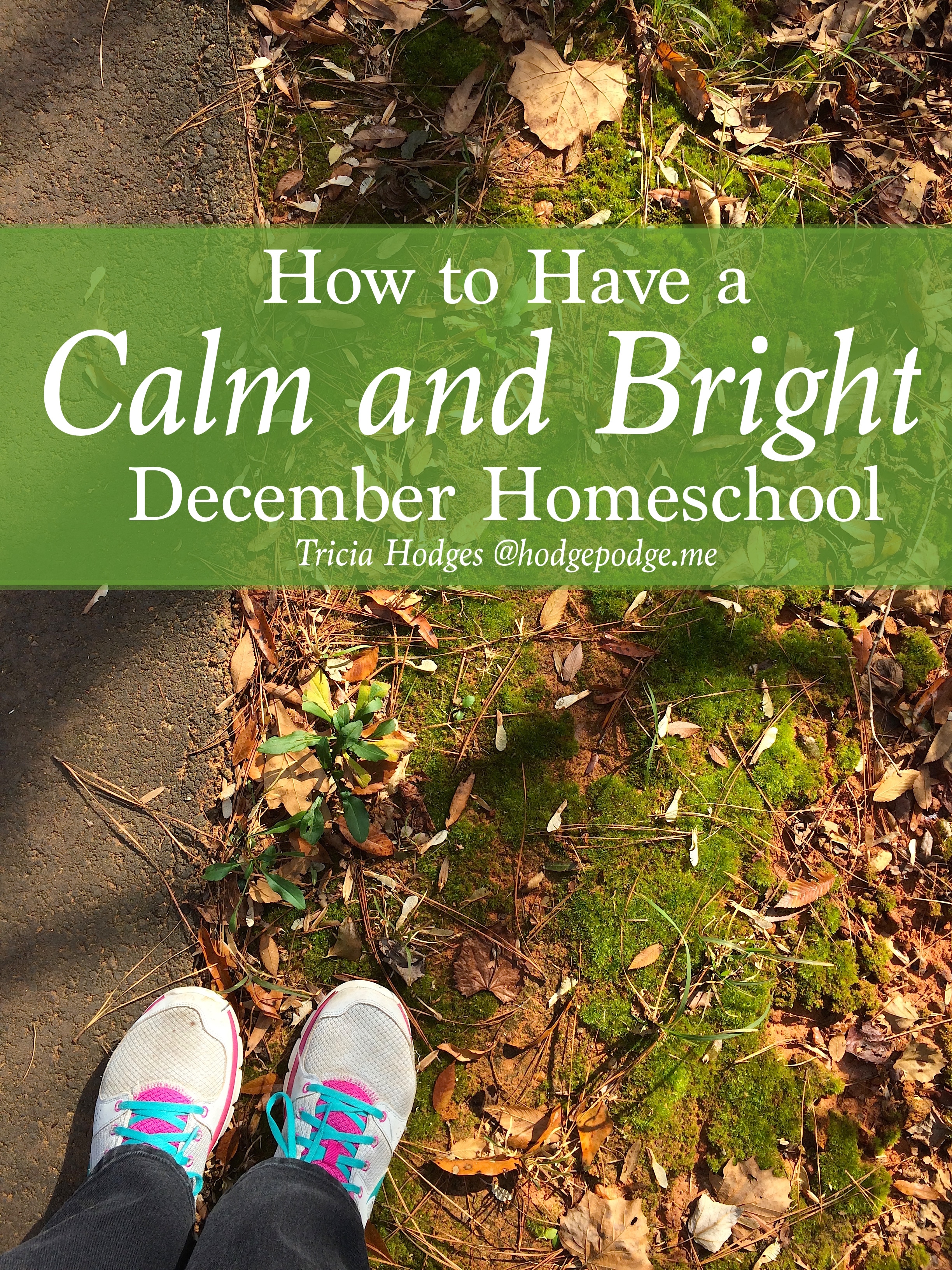 Calm and Bright December Homeschool