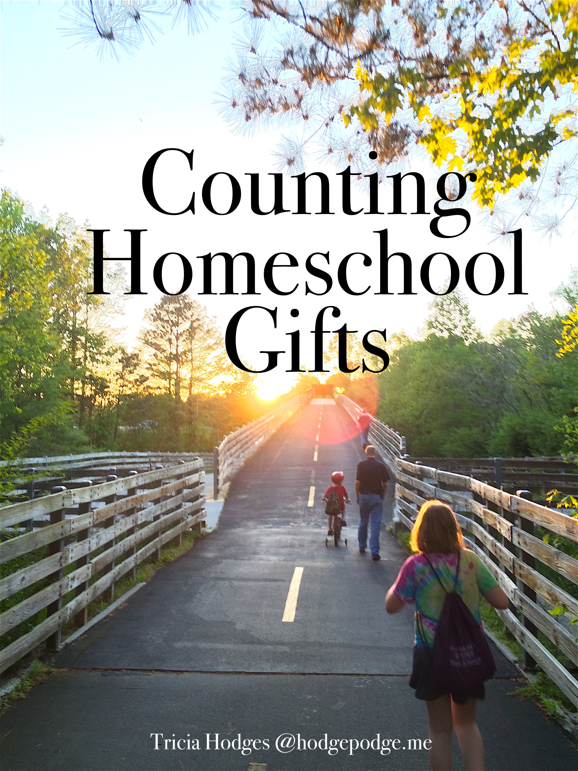 Counting Homeschool Gifts