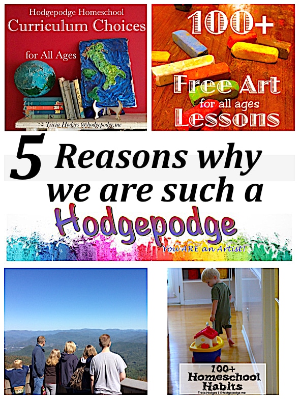 5 Reasons Why We Are Such a Hodgepodge