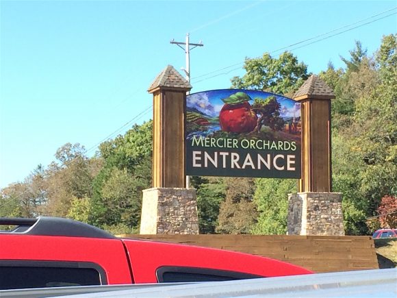 Mercier Orchards in Blue Ridge Georgia