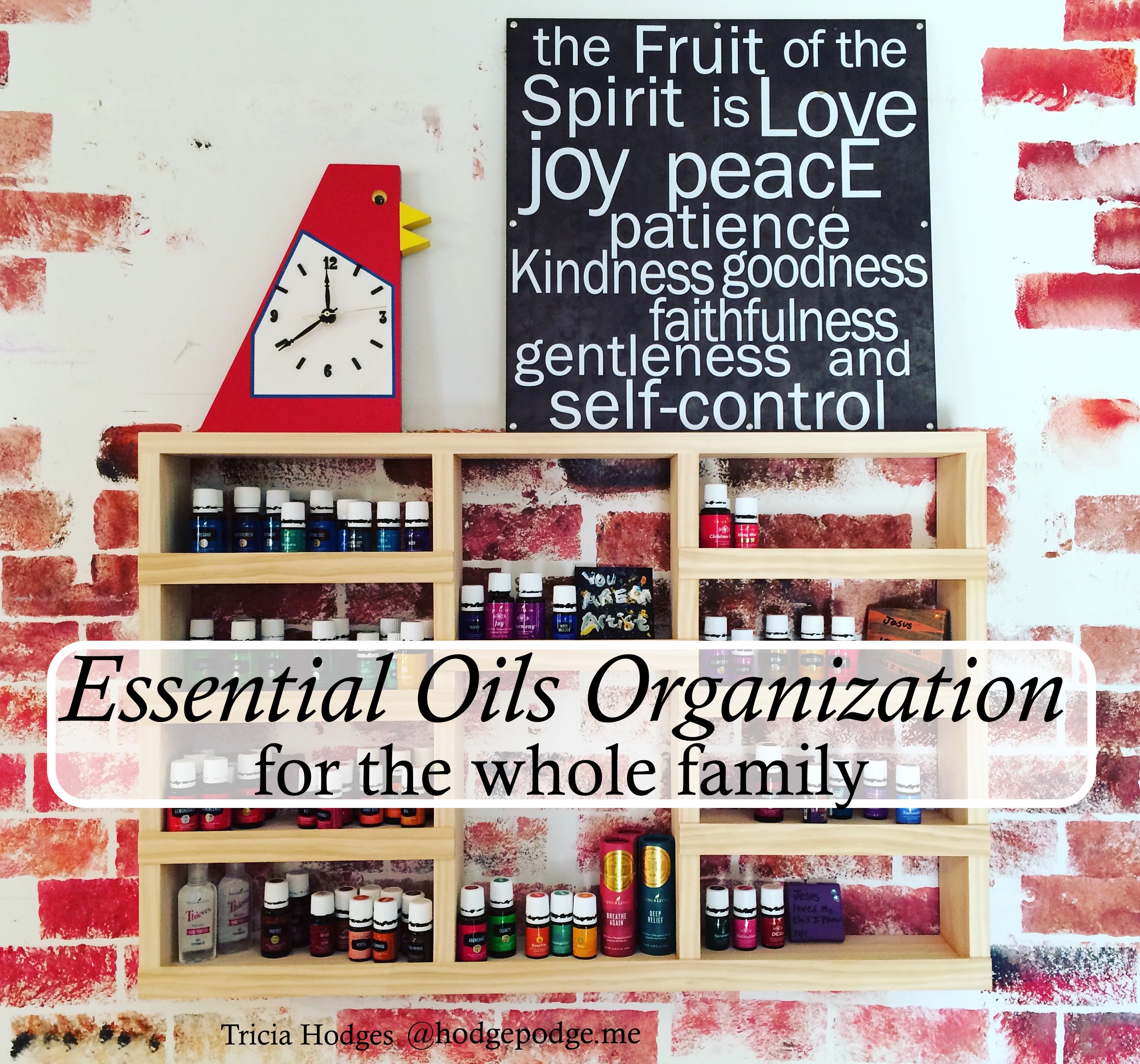 Essential Oils Organization