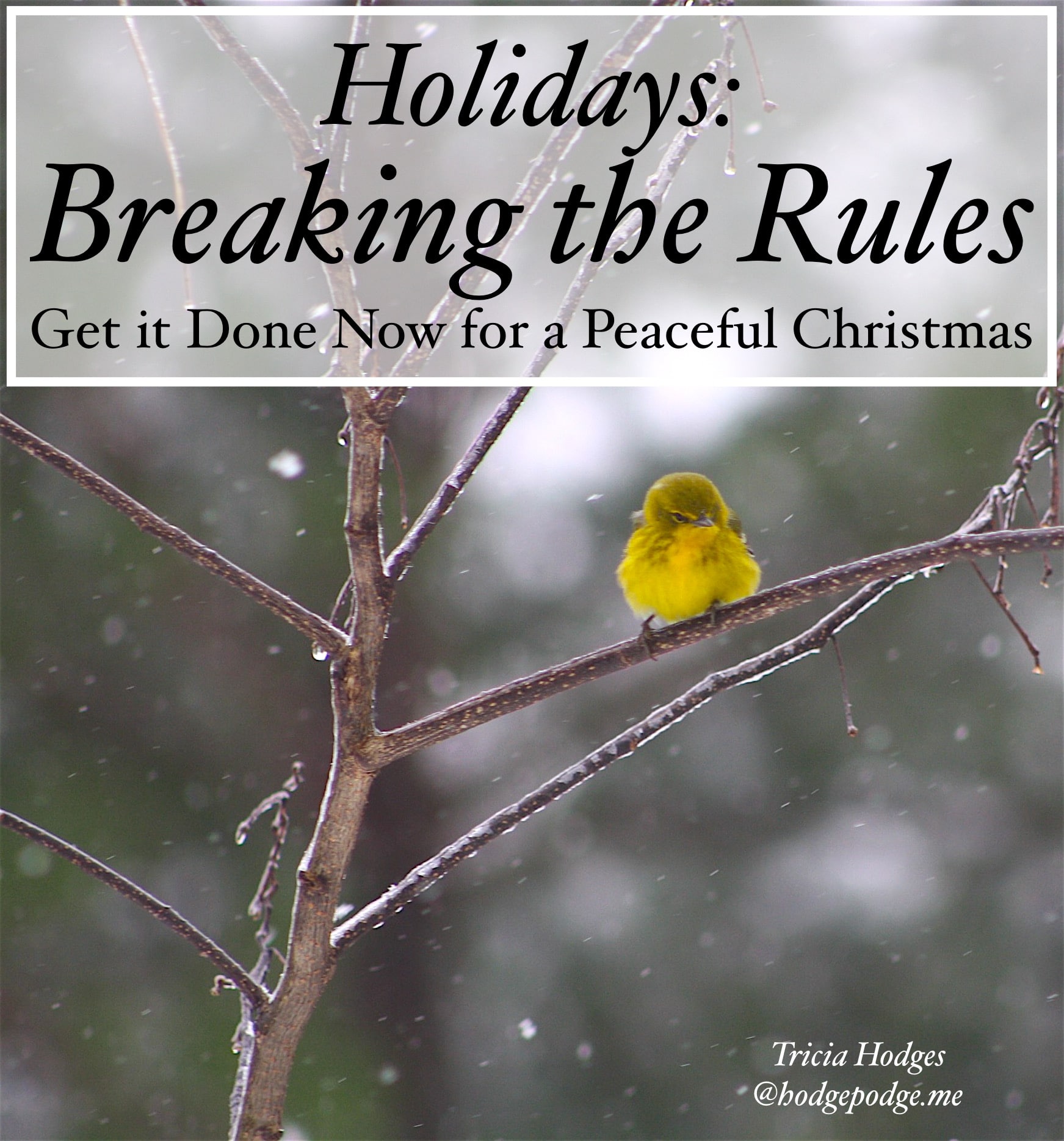 Holidays and Breaking the Rules