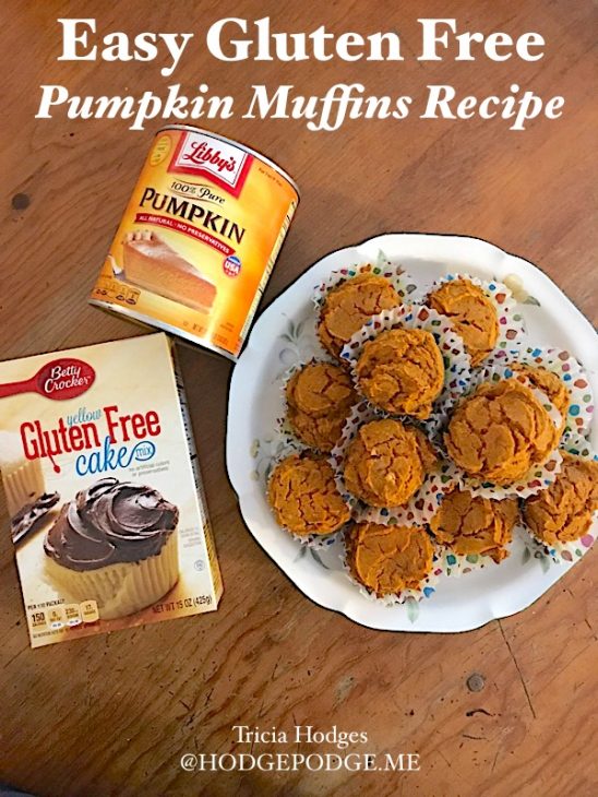 pumpkin two ingredient gluten free muffins