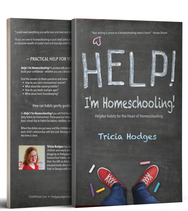 Help! I’m Homeschooling! is packed with the practical, how to advice to encourage you and build your confidence – whether you are a brand-new homeschooler or a seasoned veteran.