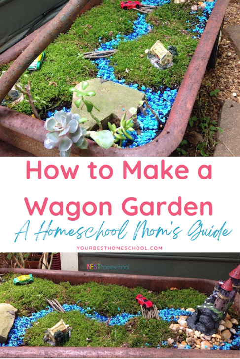 Step-by-step how to make a wagon garden with ideas for individual garden pots with themes matching favorite books. I think that I can say that this is an artistic project and remind you all that you ARE artists!