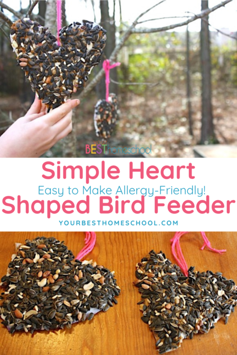 A simple, heart-shaped bird feeder. You can make it allergy-friendly. Easy steps and fun to make with your children in honor of the Great Backyard Bird Count!