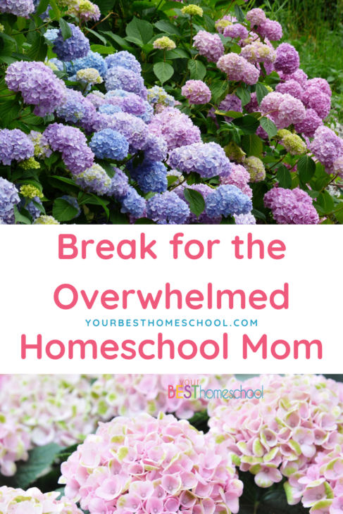 Feeling Overwhelmed As A Homeschool Mom? The easiest way to take a break and reset. How to get a fresh perspective.