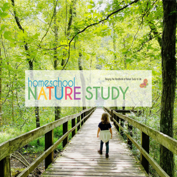 Homeschool nature study opens the door wide to joy and building memories with your children! The weekly Outdoor Hour Challenges for learning and fun bless all ages.